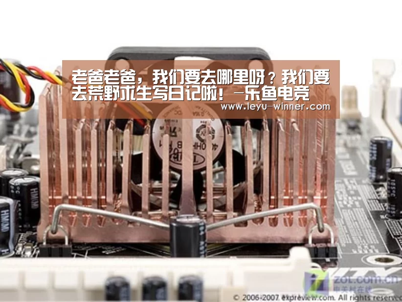 老爸老爸,我们要去哪里呀?我们要去荒野求生写日记啦!-乐鱼电竞(图2) 乐鱼最新地址