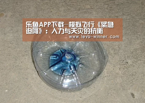 乐鱼APP下载-模拟飞行《紧急迫降》:人力与天灾的抗衡(图1) 乐鱼足球竞猜