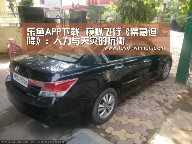 乐鱼APP下载-模拟飞行《紧急迫降》:人力与天灾的抗衡(图4) 乐鱼APP下载