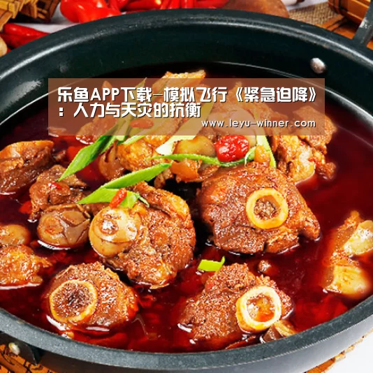 乐鱼APP下载-模拟飞行《紧急迫降》:人力与天灾的抗衡(图2) 乐鱼足球竞猜