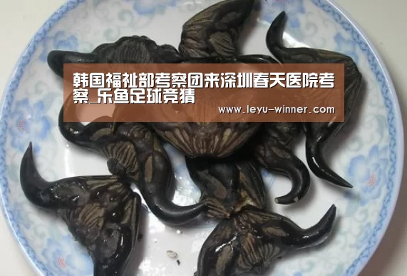 韩国福祉部考察团来深圳春天医院考察_乐鱼足球竞猜(图2) 乐鱼电竞