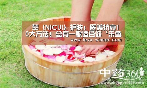 乐鱼最新地址